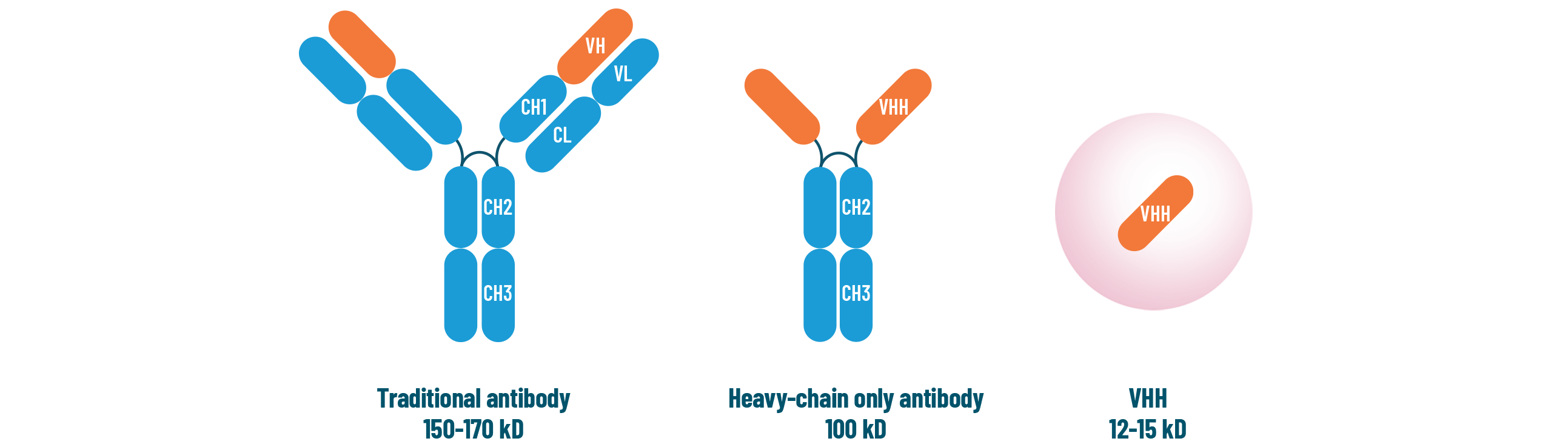 Platform - Cerberus Therapeutics