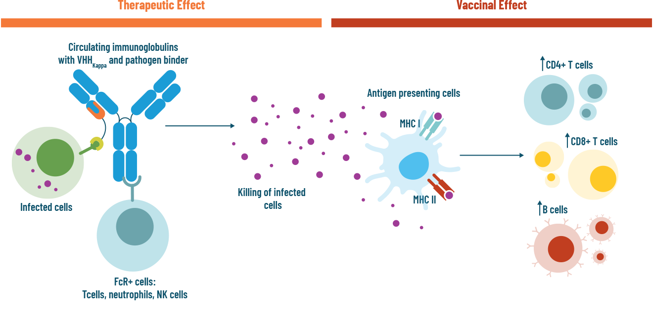 KappaLink Platform Cerberus Therapeutics